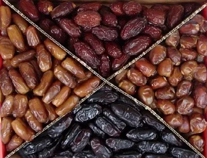 خرما مضافتی تازه کرمان با برداشت فصلی و سلامت تضمین شده